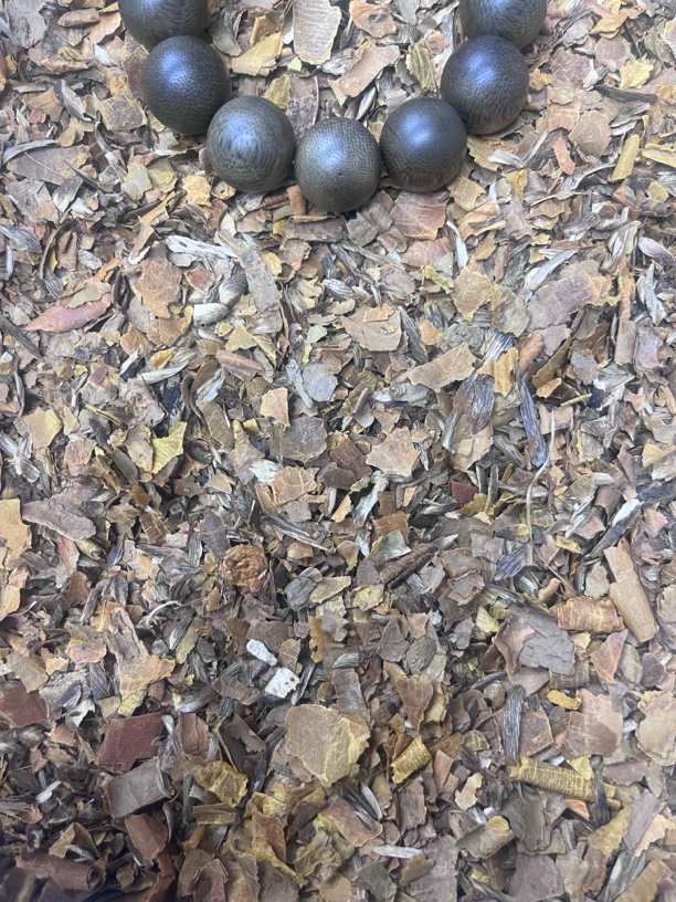 沉香B27二哥精选文玩木作