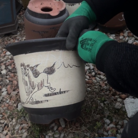 红陶紫砂花盆盆景盆栽