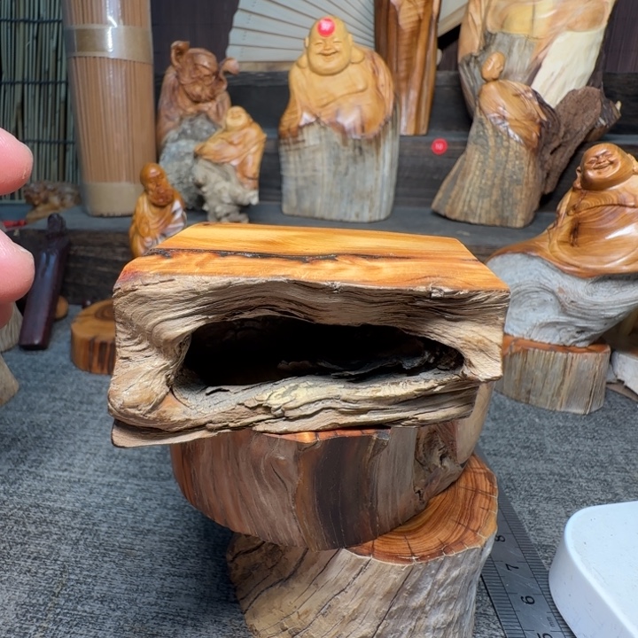 度***°柏木（崖柏）我的小可爱小可爱