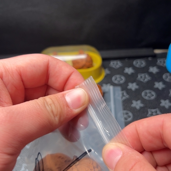 大叶紫檀（黑酸枝木类）