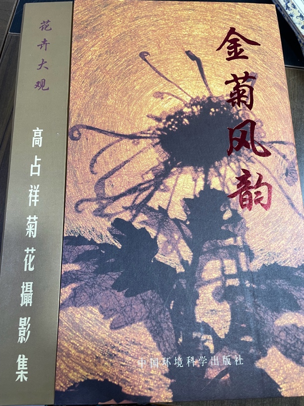 高占祥花卉大观 菊花