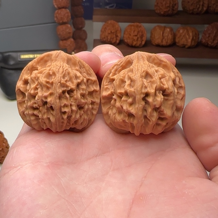 L37-35-36刘子龙一代天地