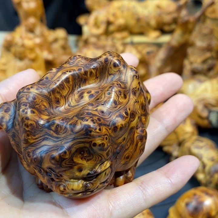 柏木崖柏88888888