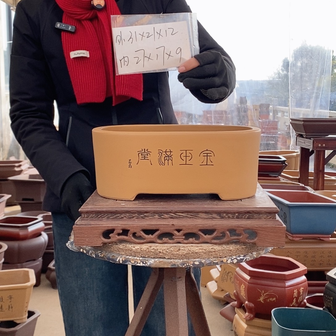 紫砂花盆紫砂花盆