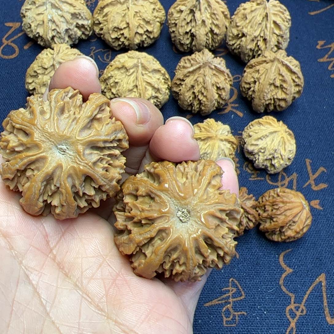 文玩核桃把件秦岭野生植物核桃