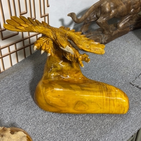 金丝楠大展宏图的