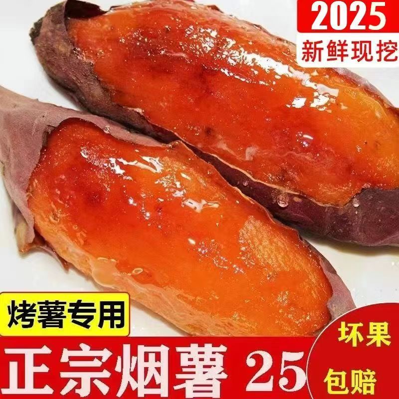 正宗烟薯25号糖心烤地瓜稀软瓤红薯流大小蜜薯皮薄