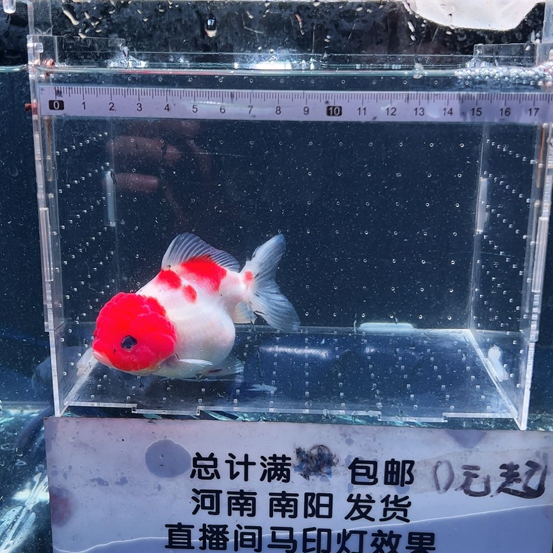 海水鱼111111111111