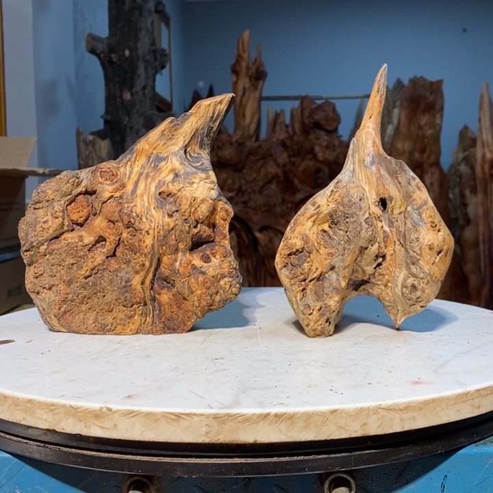 鸿***⑧我们都是你的粉丝46