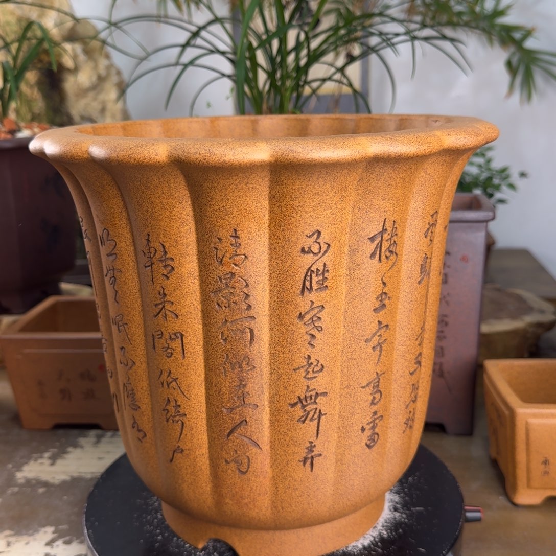 古***谷花盆紫砂紫砂花盆