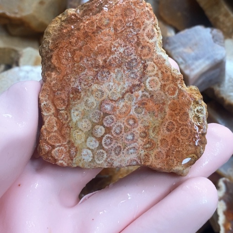 【闪购商品】硅化玉吊坠(不含链)未镶嵌