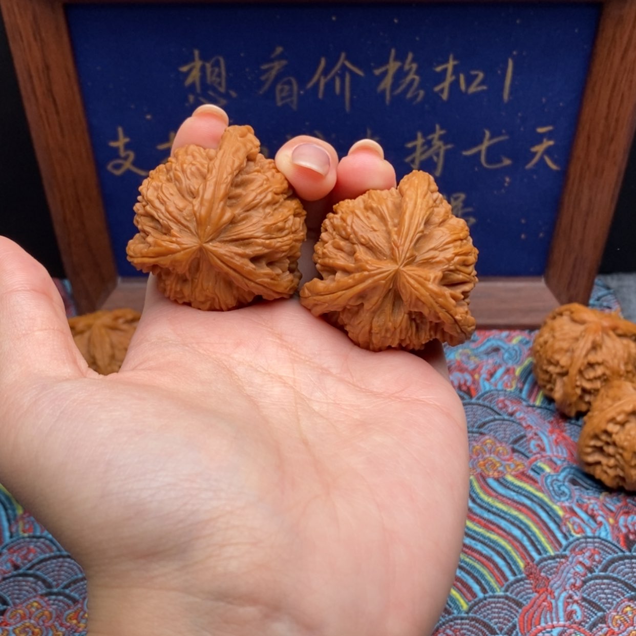 【闪购商品】一*白狮