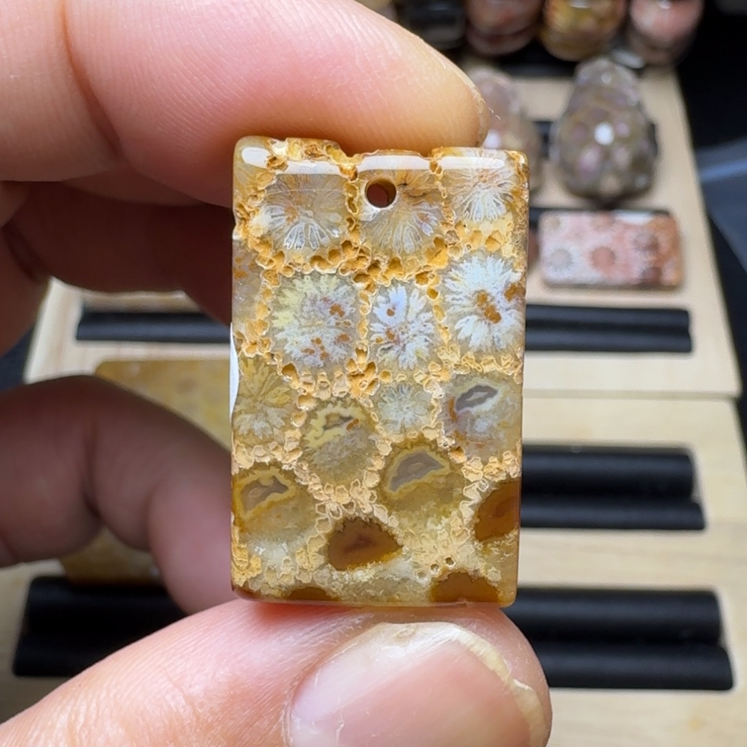 硅化珊瑚（珊瑚玉）未镶嵌纯天然色有机玉石保真色