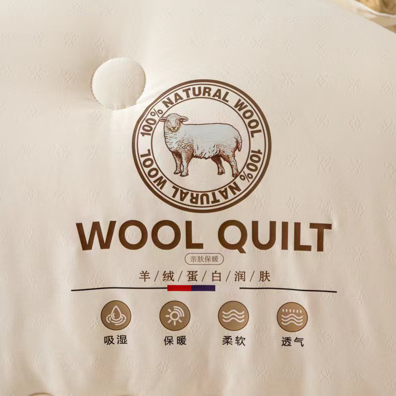雅利娜1新品上市羊绒棉大豆被（蛋白大豆被）被芯柔软