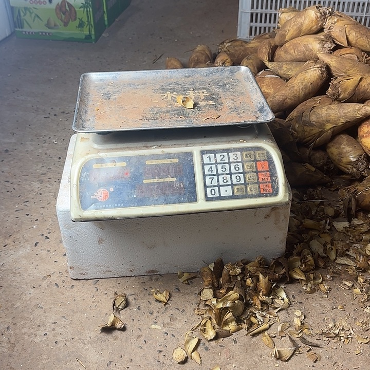 赣***黑中国大陆四川高山野生黄金