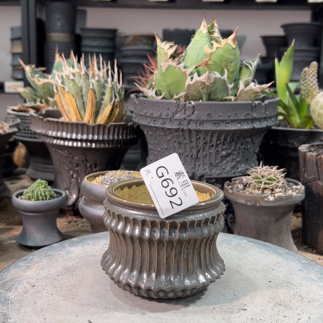 景德镇素里手工内口8号8