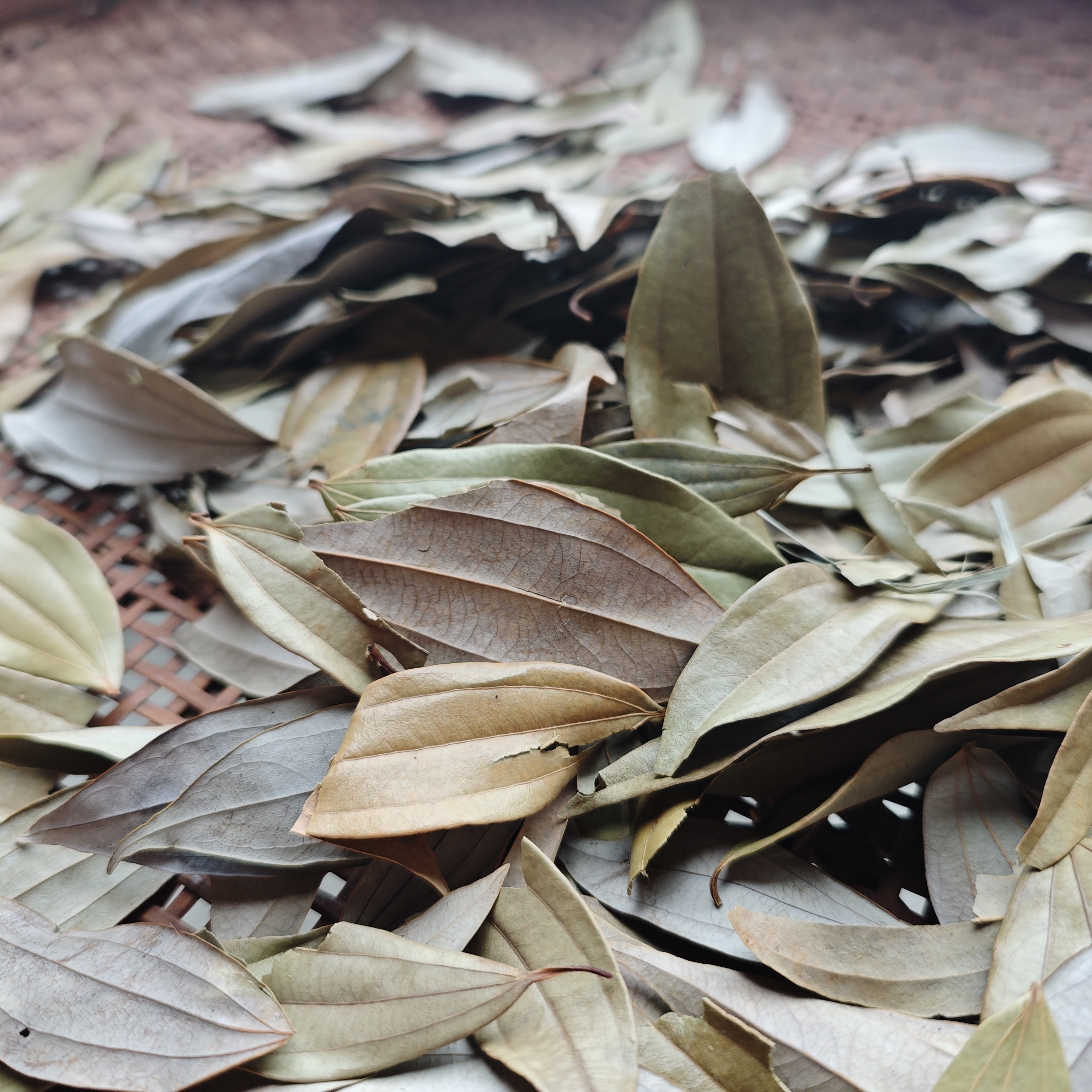 湘西香叶桂叶自然晒干增香辅料可用于佳肴配料