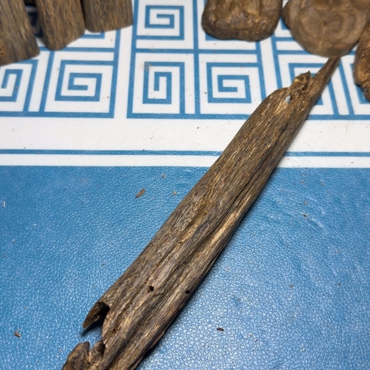 木质紫奇树心虫漏