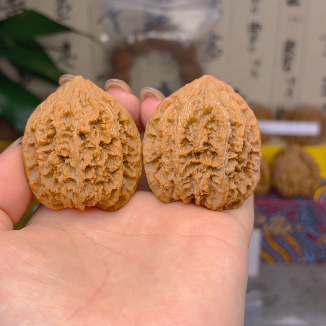 满天星狮子头四十一尺