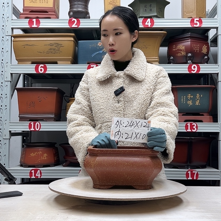 紫砂花盆紫砂花盆