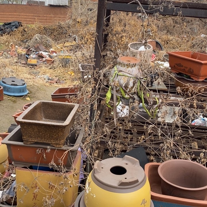 红陶紫砂花盆里面摆放