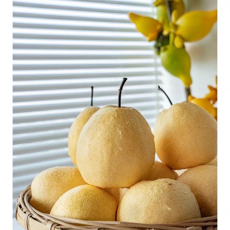 【新品】蜂蜜梨/箱