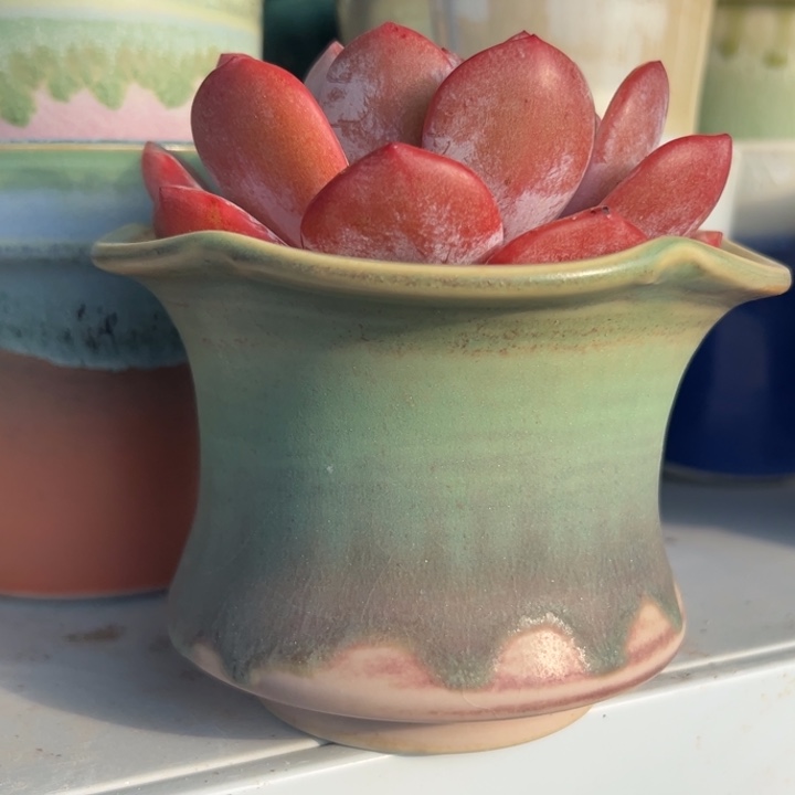 特价花盆 满50发货 内口11