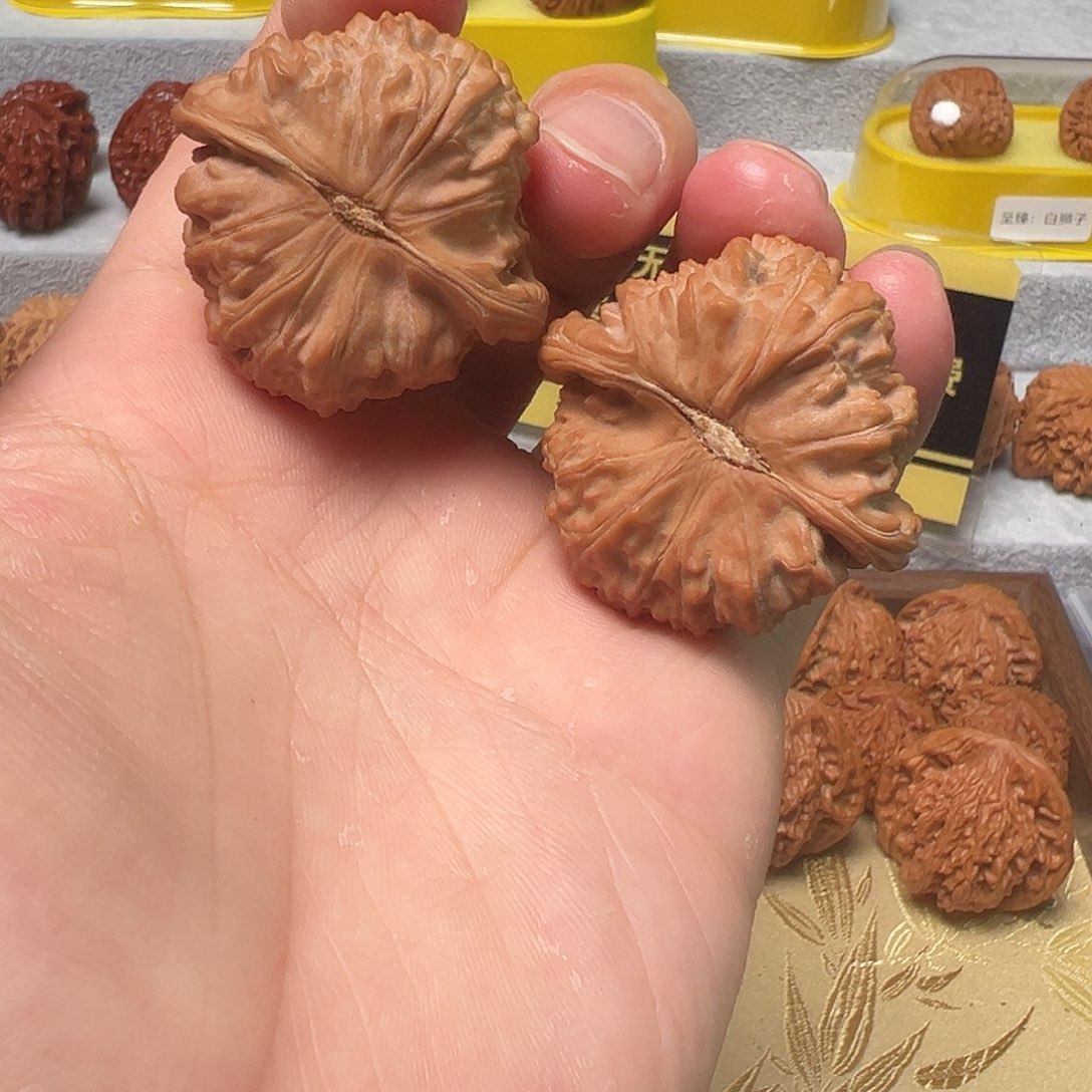 通***～把件文玩核桃39+白狮子