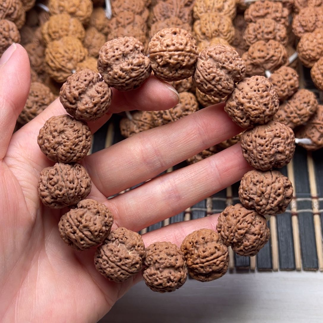 菩提24号金刚菩提蜂王四瓣20