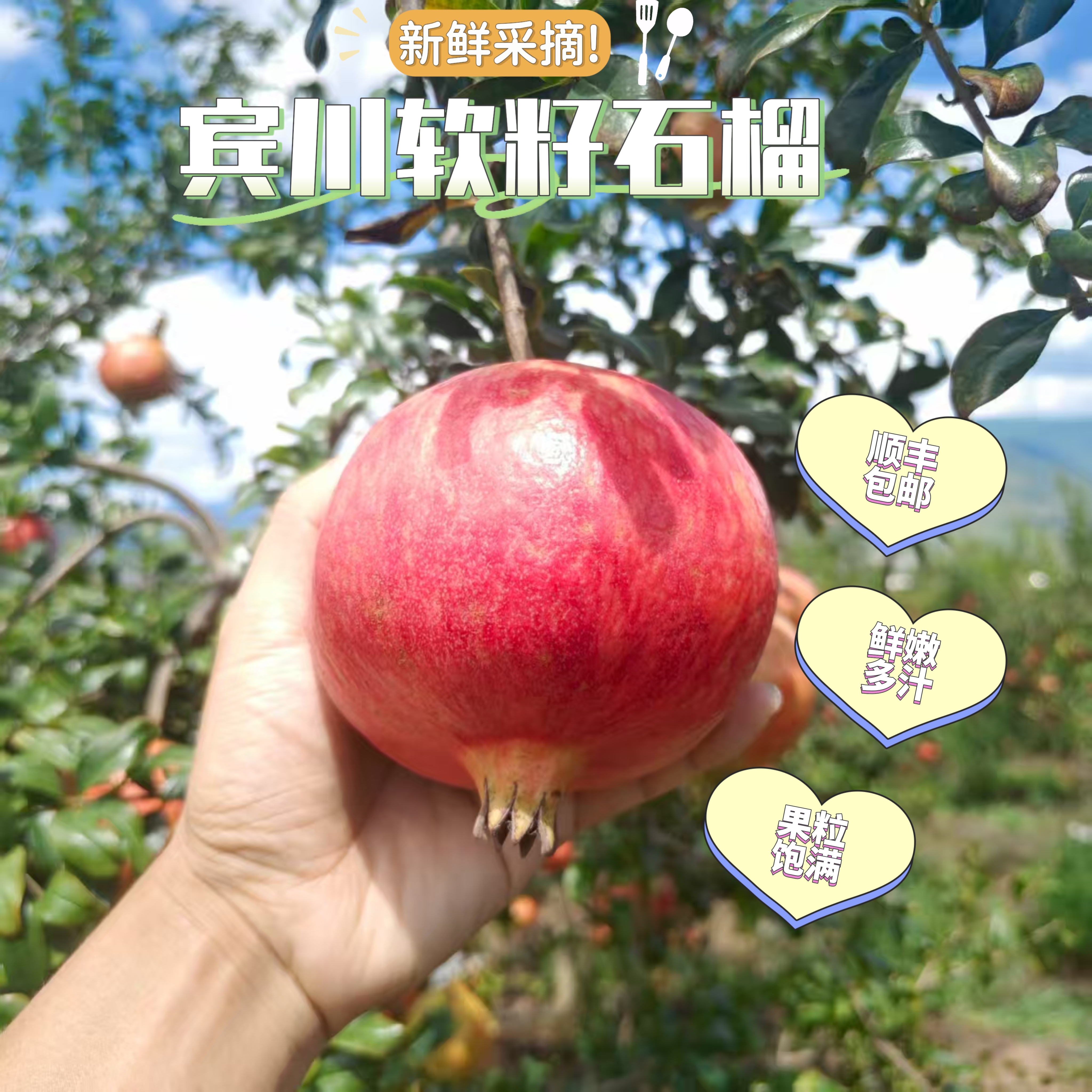 顺丰包邮宾川软籽石榴新鲜当季水果饱满多汁香甜含批发礼盒装