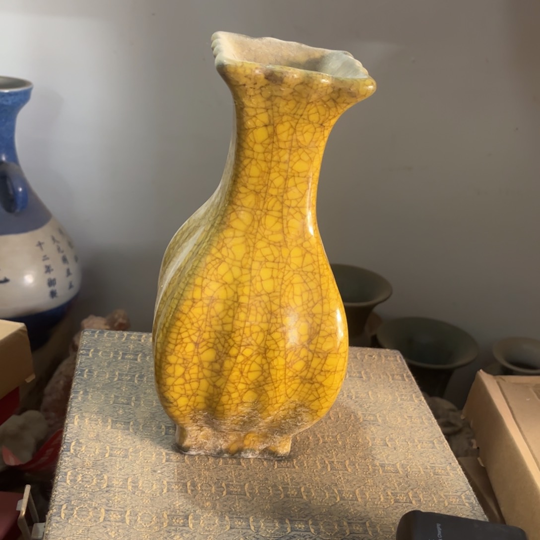 缸薇**✨bv h j j j h h h h h