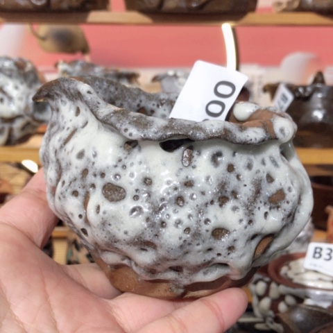 木有一点点的小姐姐