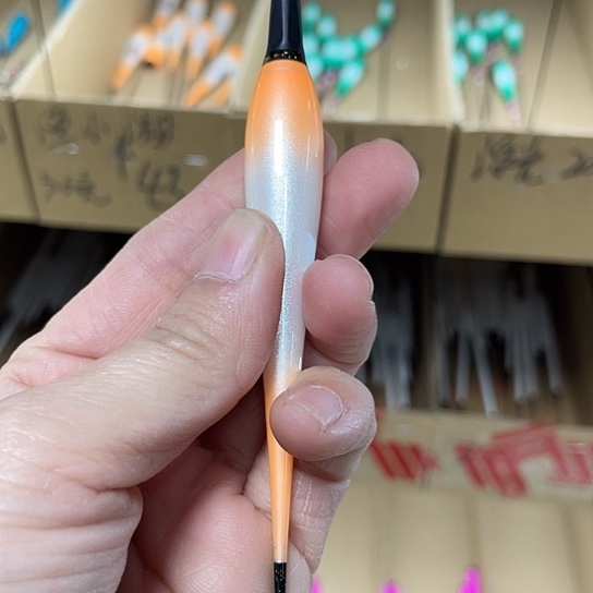 鱼小香橘白色吃铅3.5的2支