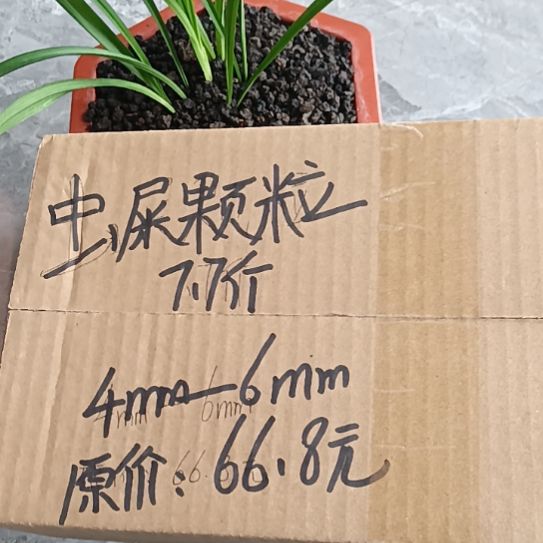 思***量兰菌黑山土虫屎颗粒7.7