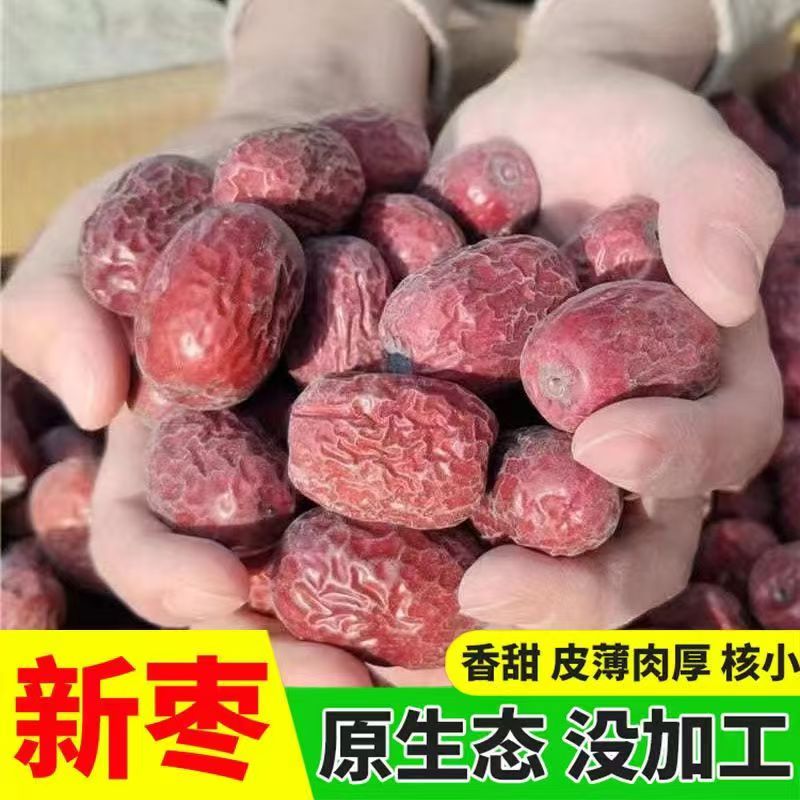 正宗新疆灰枣未清洗红枣树上自然吊干枣精选特产灰枣一等新疆直发