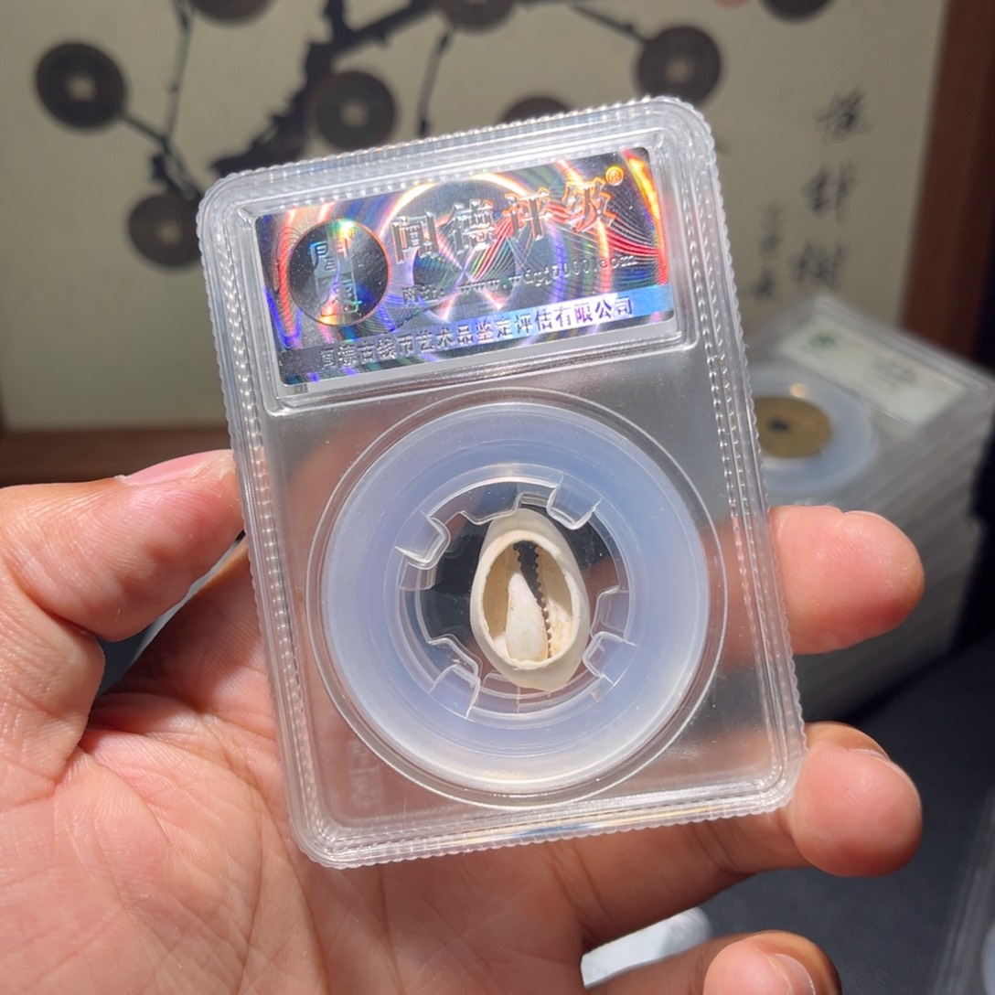 铜贝币古珍福利77777777777