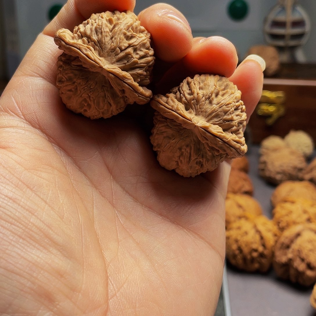 猴头核桃把件宣****行白狮子36.5尺