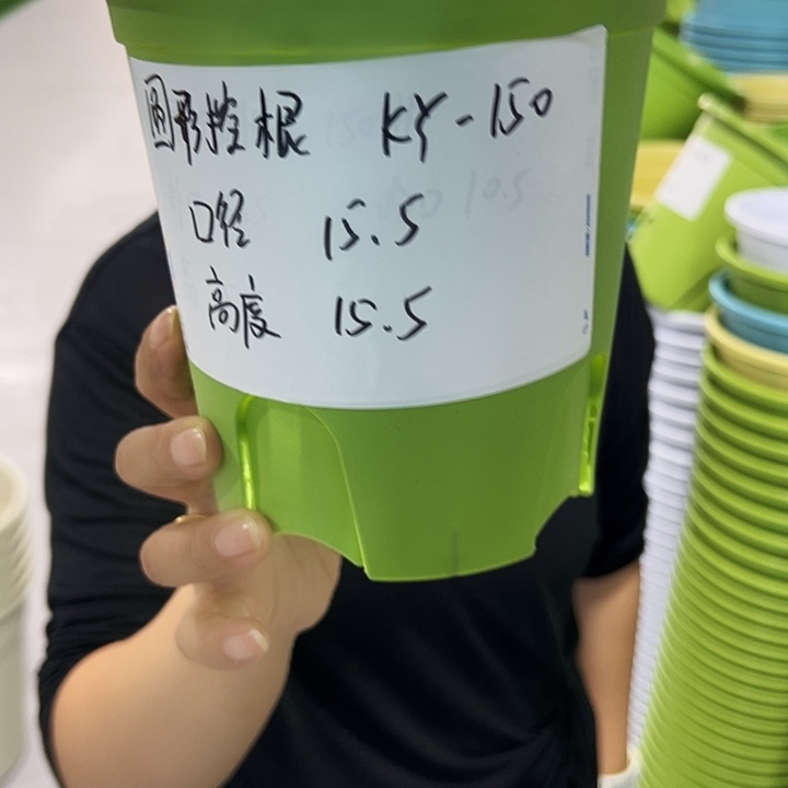 正品圆控口15高15果绿无托10只