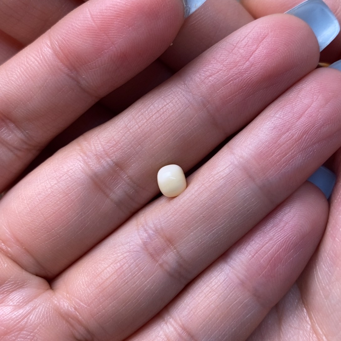 裸石琥珀未镶嵌(****)蜜蜡