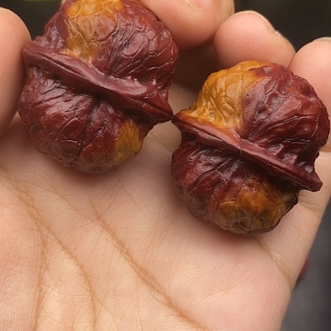 文玩核桃把件37尺疙瘩bao