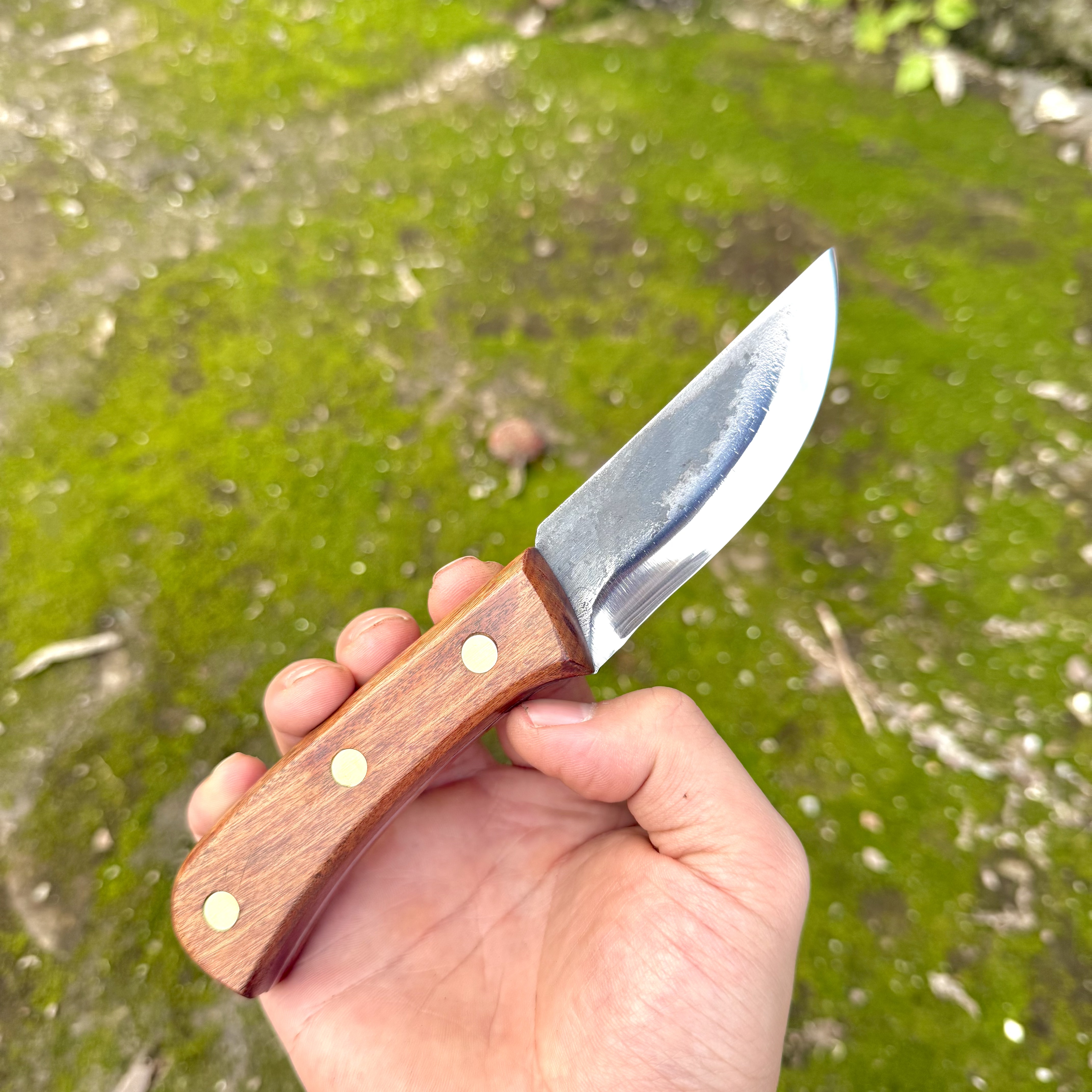 【芊荨】手把肉小刀多功能户外适用可削水果野外露营钓鱼刀