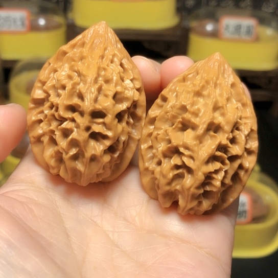 精品野生招财鼠全品