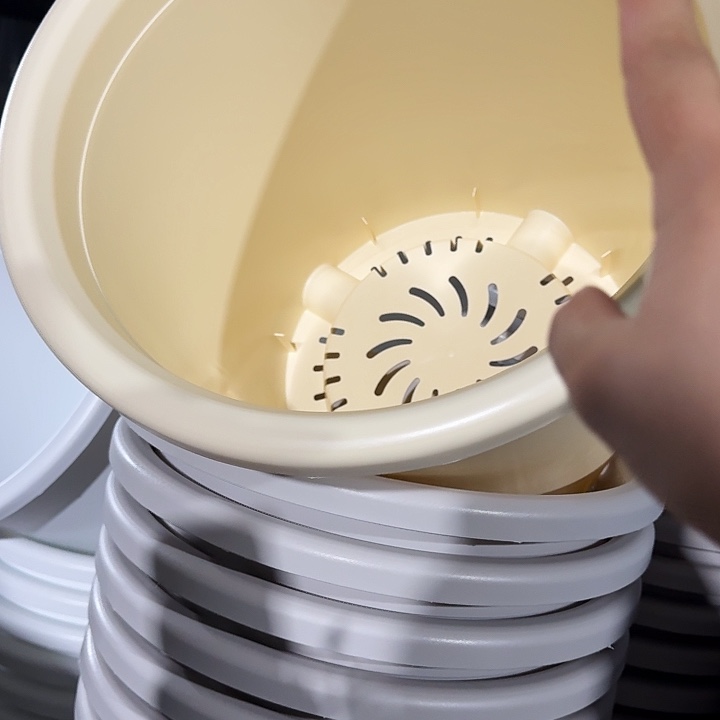 四季8号米黄无拖5个特价微瑕