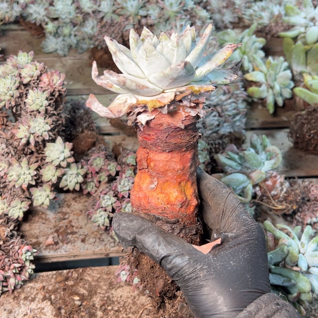 8728哈哈哈哈哈哈哈哈哈