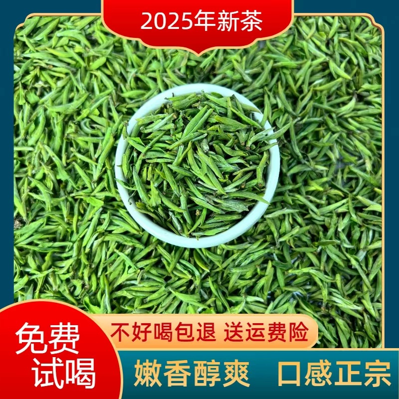 2025新茶安徽毛峰 绿茶浓香耐泡 不苦不涩