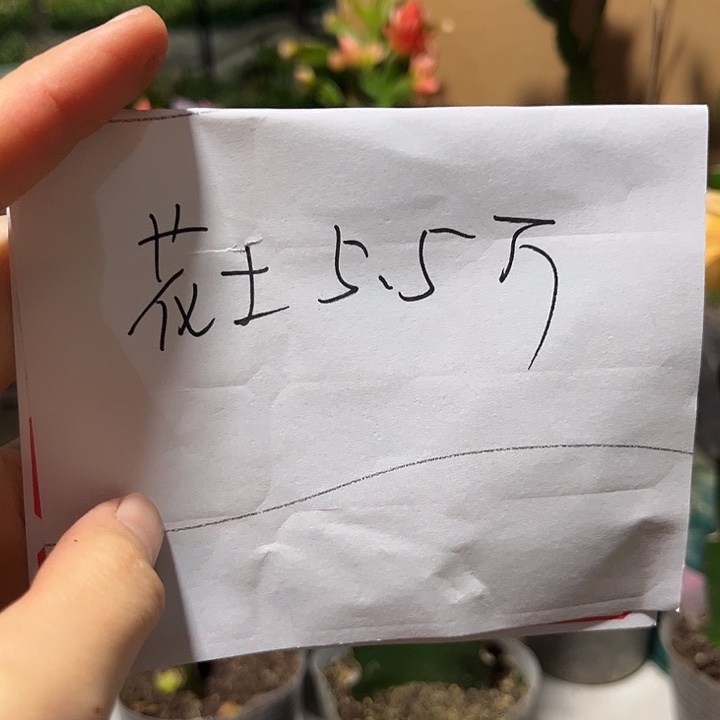 当前无花朵，栽培后可花朵花土5.5斤无泥炭土