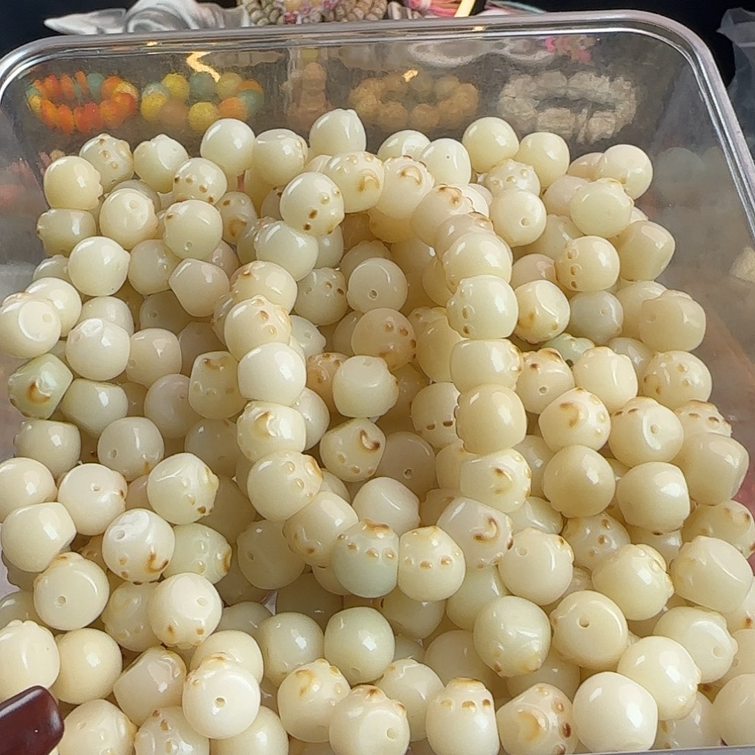 菩提根/象牙果手串卡13炭烤猫爪蒜瓣20颗