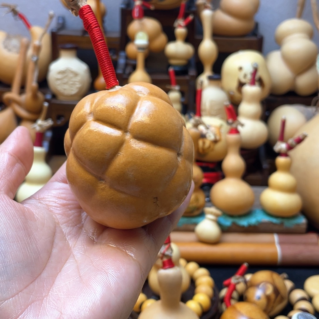 不***森大自然的秘密第十节第二十