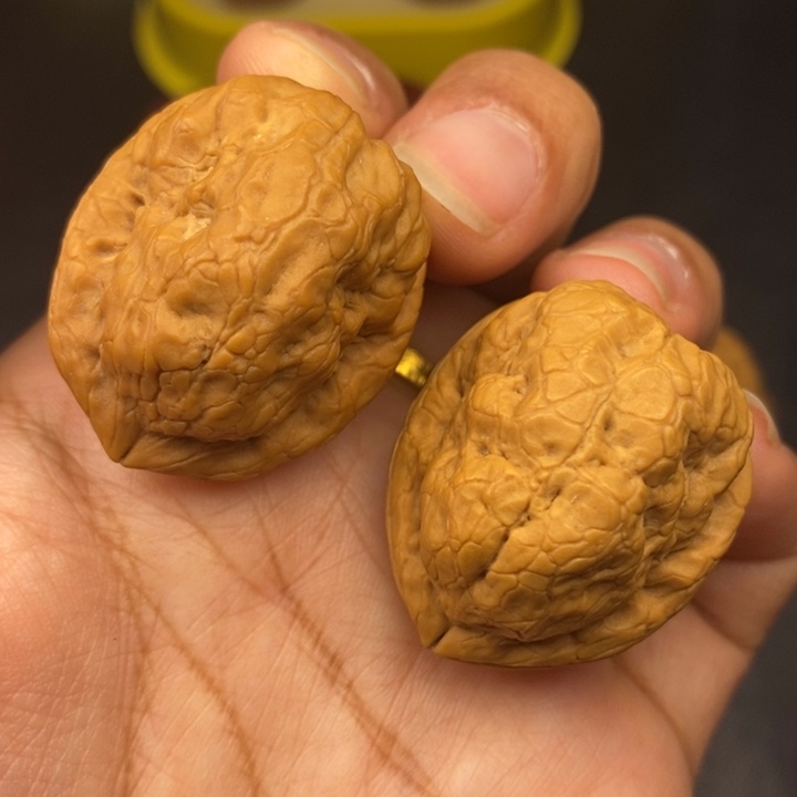 文玩核桃吊坠31尺金刚鹦鹉