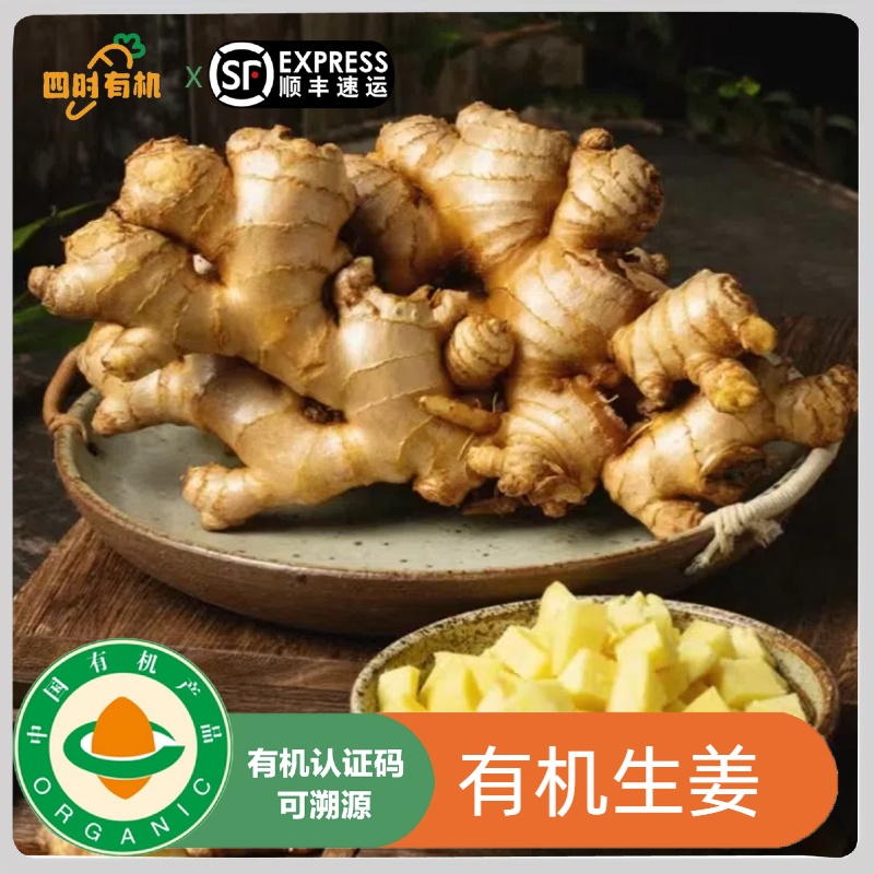 有机生姜5斤/2斤山东大姜蔬菜新鲜月子姜老姜孕妇食用生姜顺丰